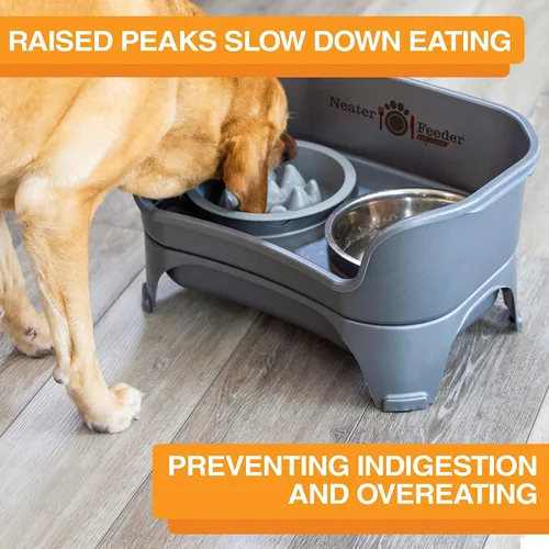 Miniatura 4 de Neater Feeder Express Cuencos para Perros a Prueba de Desorden Elevados para Razas Medianas y Grandes – Fabricado en EE. UU. – Comedero Lento