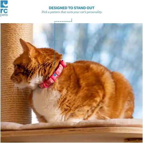 Miniatura 2 de RC Pets Kitty Breakaway - Collar para gatos, Cat-titude