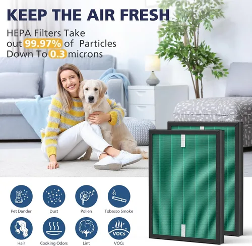 Miniatura 8 de 2 juegos de filtros de repuesto para Coway Airmega 150(W) 150(K) purificador de aire, 2 filtros HEPA y 8 filtros de carbono activo, AP-1019C-FP