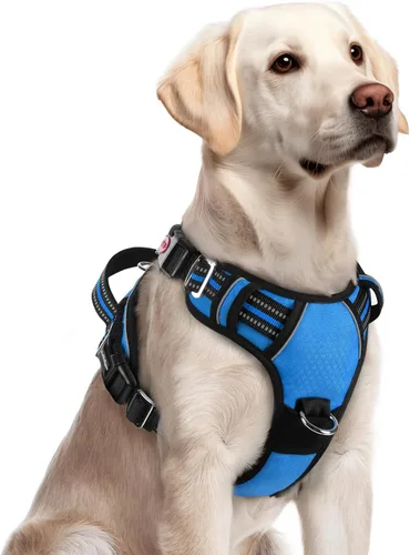 Miniatura 11 de rabbitgoo Arnés para perro de tamaño pequeño, chaleco para perro sin tirones con 3 hebillas, arnés ajustable y acolchado suave para mascotas con asa