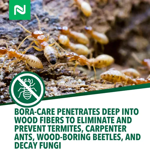 Miniatura 5 de Bora Care, de Nissus – 1 Jarra de borato natural para combatir las termitas NI1001