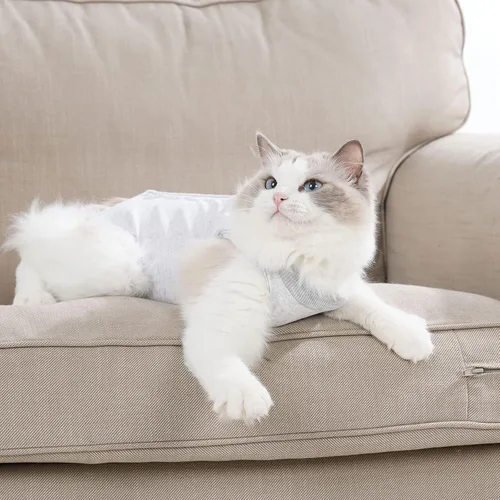 Miniatura 6 de Traje de Recuperación para Gatos para Macho y Hembra, Ropa de Post-Cirugía, Mono Suave, Camisa de Cono, Ropa de Neuter, Pañales Protectores, Blanco