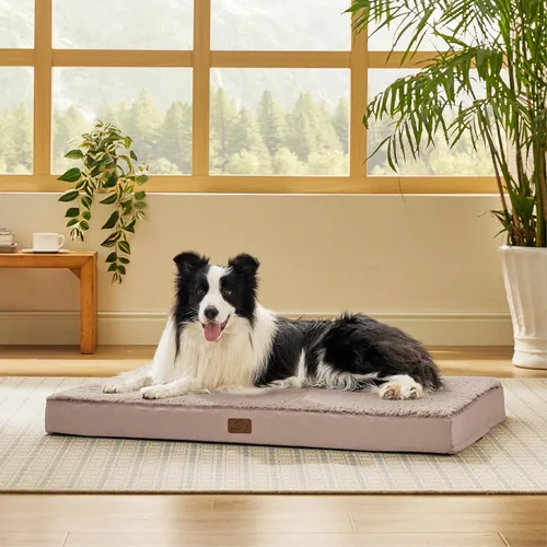 Miniatura 12 de Bedsure Camas para Perros Tamaño Grande - Cómodas Camas Planas para Mascotas con Funda Lavable Extraíble, Alfombrilla de Espuma Ortopédica