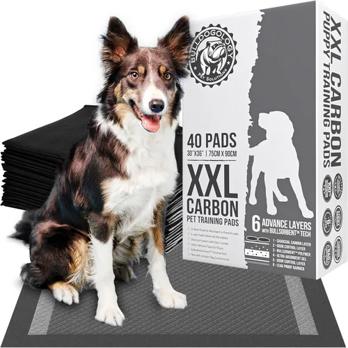 Miniatura 14 de Bulldoglogy Carbon Black XL Almohadillas para orina de perro para perros extra grandes con cinta adhesiva pegajosa - Almohadillas desechables