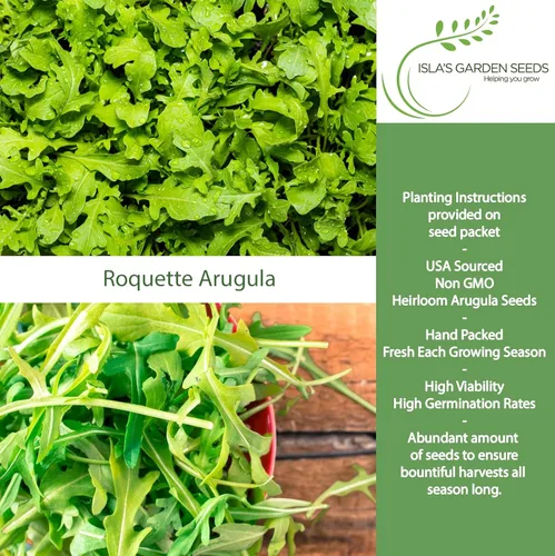 Miniatura 2 de Semillas "Roquette Rúcula" para plantar, más de 1000 semillas tradicionales por paquete, semillas sin OMG, (semillas de jardín de Isla), nombre