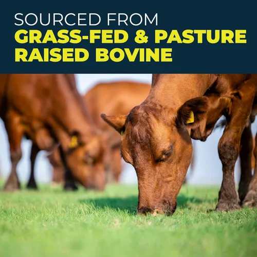 Miniatura 5 de Proteína en polvo de carne alimentada con pasto, 0.76 onzas de proteína, 0.76 onzas de colágeno, 18 aminoácidos, sin OMG, sin lácteos, azúcar