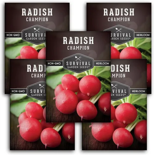Champion - Semillas de rábano para plantar, reliquia de rápido crecimiento para jardines de primavera y otoño, rábanos rojos redondos grandes, carne