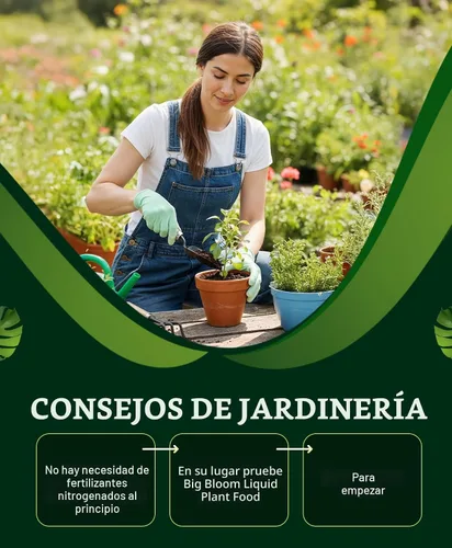 Miniatura 6 de FoxFarm Tierra para macetas Ocean Forest, 12 cuartos de galón, textura ligera, aireada, diseñada para todas las plantas en contenedores, pH ajustado