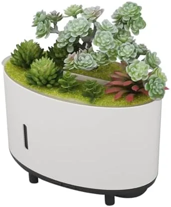 Miniatura 8 de Humidificador de plantas de simulación, 6.8 fl oz de aire silencioso humidificador de apagado automático, mini humidificador portátil
