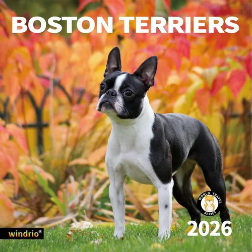 Miniatura 18 de Calendario de Pared 2026, Calendario 2026, noviembre de 2025 a diciembre de 2026, Calendario de Pared Beagles, 12" x 24" abierto, página completa
