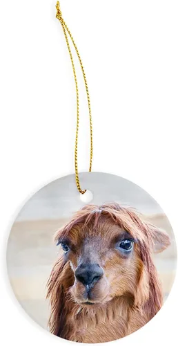 Adorno de cerámica para perro de alpaca, decoraciones navideñas, adorno de cerámica circular de 3 pulgadas