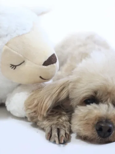 Miniatura 8 de HonourHope Juguete de latido del corazón para perro para aliviar la ansiedad, juguete de felpa suave para mascotas, juguete calmante