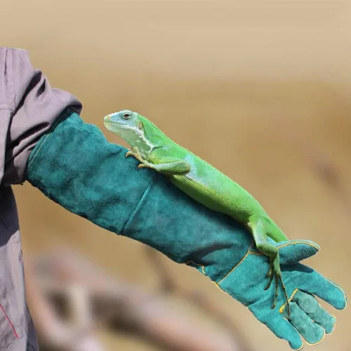Miniatura 4 de Guantes antimordeduras, lona azul para entrenamiento de reptiles para mascotas, antimordeduras, alargan, guantes de protección de seguridad