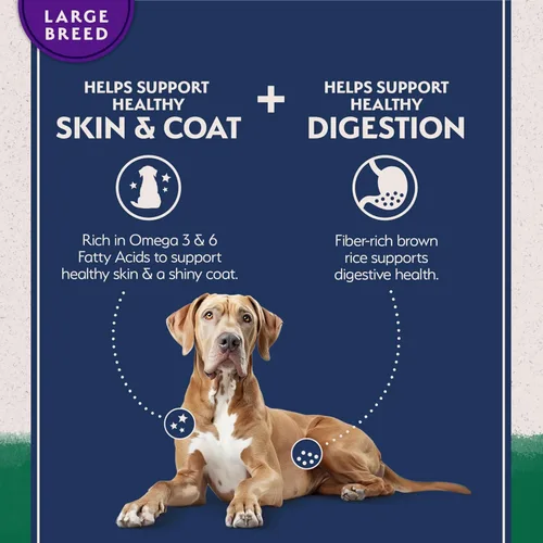 Miniatura 3 de Natural Balance - Comida seca para perros de raza grande con ingredientes limitados, fórmula de granos saludables, cordero y arroz moreno, 12 libras