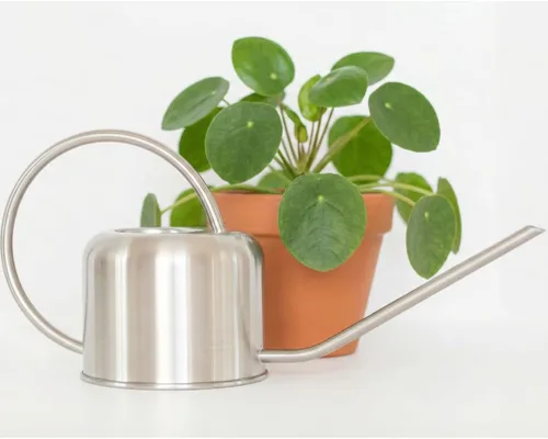 Miniatura 10 de Regadera de acero inoxidable para plantas de interior por Houseplant Resource Center Capacidad de 1 litro para plantas de interior/exterior en oro