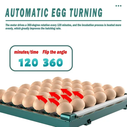 Miniatura 2 de 98 120 128 152 176 192 incubadoras para incubación comercial y doméstica Auto Egg Turning LED Display Candler incorporado huevo y alarmas