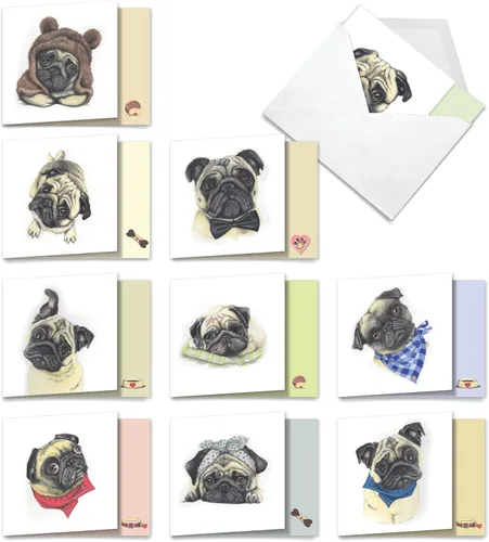 Miniatura 9 de The Best Card Company - 10 tarjetas de felicitación para perros en blanco para todas las ocasiones (4 x 5.12 pulgadas) - Boo El perro más lindo