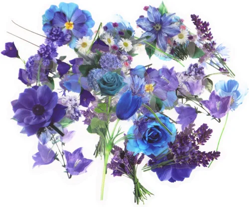 160 calcomanías de plantas de flores, 20 patrones de calcomanías decorativas transparentes de PET, álbum de recortes florales para álbumes de