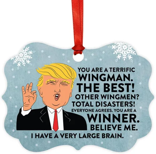 Miniatura 34 de Andaz Press Divertido presidente Donald Trump Fancy Frame Recuerdo Adorno de Navidad Regalo de mordaza, Perra fantástica, 1 paquete, ideas de regalo