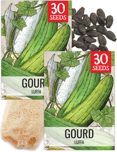 Miniatura 19 de Seed Needs Semillas de calabacín para plantar calabaza de verano Black Beauty, sin OMG, reliquia y sin tratar, rendimientos prolíficos de deliciosos