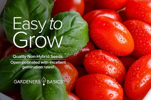 Miniatura 6 de Gardeners Basics Semillas de tomate Rio Grande para plantar semillas tradicionales sin OMG para verduras de jardín casero son un gran regalo