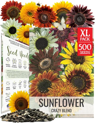 Seed Needs Semillas de girasol para plantar la mezcla loca original | Más de 500 semillas de reliquia, más de 15 variedades polinizadas abiertas y
