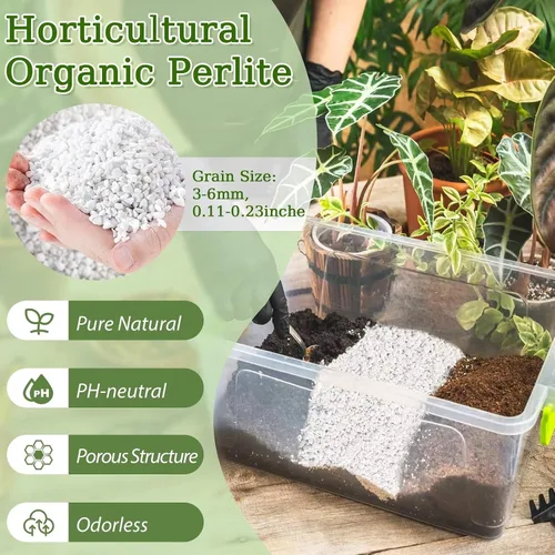 Miniatura 2 de Riare Perlita orgánica de 2 cuartos de galón para plantas, enmienda de suelo de perlita hortícola para plantas, mezcla de macetas, acondicionador