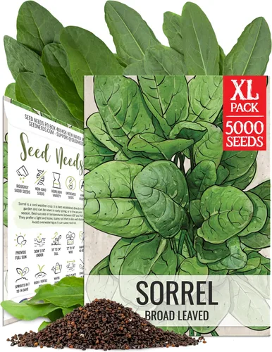 Miniatura 14 de Seed Needs Semillas de albahaca para plantar hierbas de albahaca tailandesa, reliquia sin OMG y sin tratar, cultiva un jardín de hierbas culinarias