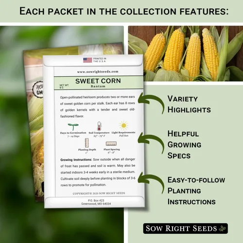 Miniatura 2 de Sow Right Seeds - Colección de semillas de 3 hermanas para plantar - Paquetes de maíz dulce Bantam, frijol Wonder Pole de Kentucky y calabaza
