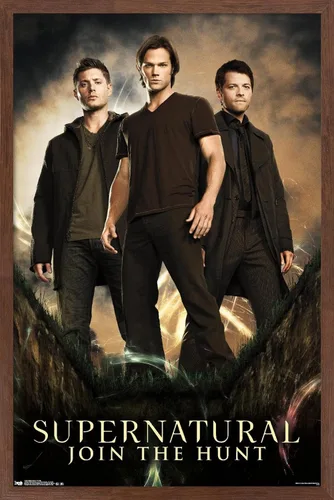 Miniatura 15 de Trends International Supernatural - Póster de pared de grupo, 14.725 x 22.375 pulgadas, versión con marco de madera tipo granero