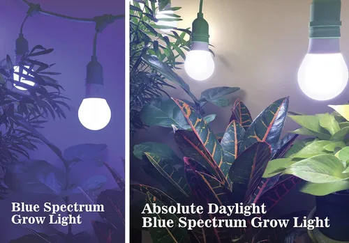 Miniatura 2 de Miracle LED Absolute Daylight Plus - Bombilla LED de crecimiento de espectro azul para siembra y comienzo, reemplazo de 150 W incandescente