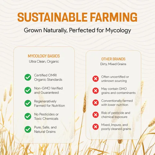 Miniatura 4 de Bayas de Centeno para Cultivo de Hongos - Grano de Centeno Orgánico, Triple Lavado para hacer Cultivo de Hongos en Grano por Mycology Basics - 5