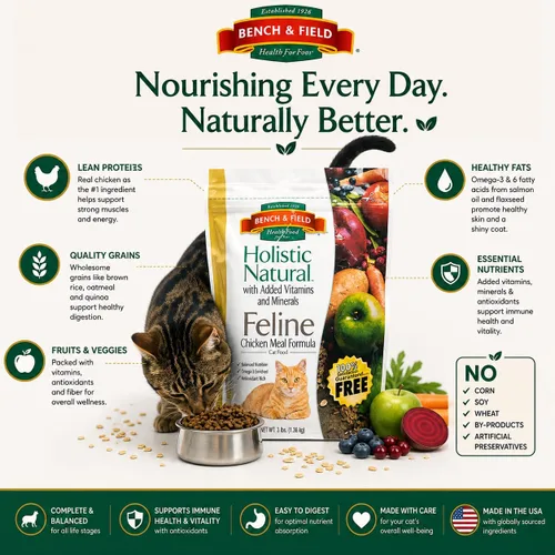 Miniatura 4 de Bench & Field Holistic Premium Alimento seco para gatos, harina de pollo y arroz integral, hecho sin maíz, trigo o soja, para todas las etapas