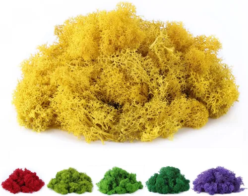 Miniatura 6 de Musgo de reno preservado de musgo falso de 3.5 onzas para plantas en maceta, artes y manualidades, terrarios, decoración de pared, centros de mesa