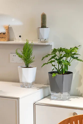 Miniatura 5 de Paquete de 6 macetas de plástico de 5 pulgadas con autorriego para interiores, modernas macetas decorativas para suculentas, aloe, hierbas, violetas