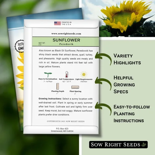 Miniatura 2 de Sow Right Seeds - Semillas de girasol Peredovik para plantar - Paquete de reliquia sin OMG con instrucciones para el cultivo - Flor solar negra rusa