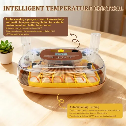 Miniatura 3 de Incubadora de 24 huevos para eclosión con volteador automático, control inteligente de temperatura y humedad, visualización de 360°, ovoscopio