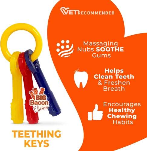 Miniatura 4 de Nylabone Sólo para cachorros pequeños chupete pequeño de hueso, jueguete para masticar para cachorros, M, Rojo, amarillo, azul