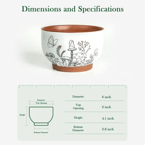 Miniatura 3 de Macetas suculentas de terracota, maceta de 6 pulgadas para plantas con orificio de drenaje, maceta de cerámica con patrón de hongos, macetas