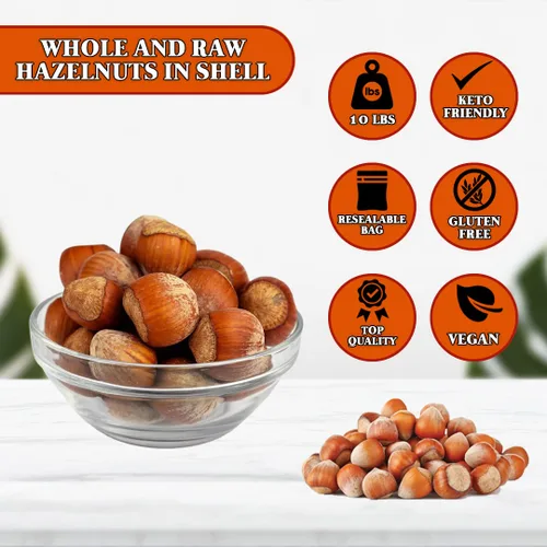 Miniatura 8 de Presto Sales Filberts Avellanas frescas del árbol crudas en cáscara, Oregon, Estados Unidos, divertido de romper – 160 oz (10 libras) Bolsa práctica