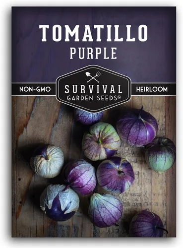 Semillas de tomatillo morado para plantar, tomate de cáscara mexicana de reliquia, vegetal polinizado abierto sin OMG de alto rendimiento para salsa