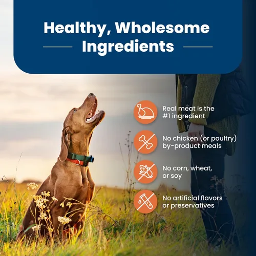 Miniatura 5 de Blue Buffalo Life Protection Formula Large Breed Adult Dry Dog Food, promueve la salud de las articulaciones y los músculos magros, hecho