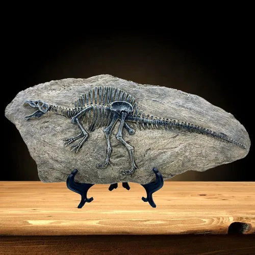 Miniatura 8 de XINDAM Modelo de estatua de fósil de dinosaurio de resina, esqueleto simulado para exhibición en hogar y oficina, caja decorativa de manualidades