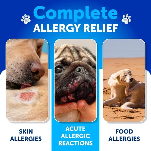 Miniatura 3 de Probióticos para Perros - Apoyo para la Salud Intestinal, Picor en la Piel, Alergias, Inmunidad, Equilibrio de Levadura - Probióticos para Perros