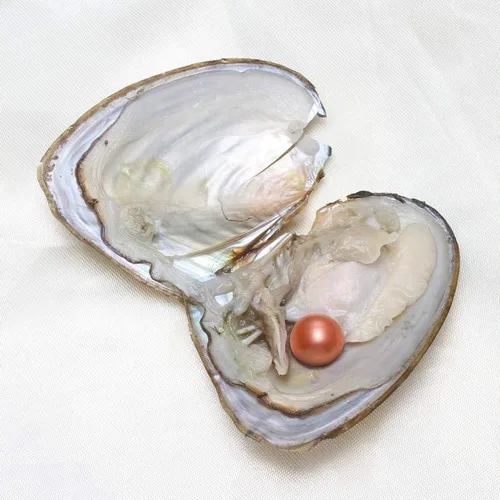 Miniatura 3 de XUDREZ Perlas de ostra natural, 50 unidades/lote, ostras monstruosas con perlas en el interior, a granel real en ostras, perlas ovaladas de agua