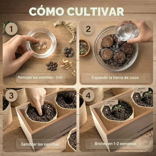 Miniatura 3 de AVERGO Kit de árbol bonsái clásico, 5 árboles bonzai japoneses únicos Kits completos de inicio de bonsái de interior para árboles en crecimiento