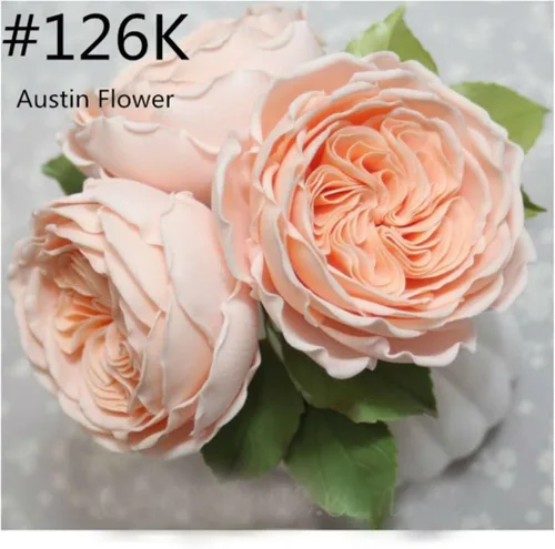 Miniatura 9 de FantasyDay 5 piezas de acero inoxidable rosa flor tuberías puntas tuberías boquillas decoración pasteles suministros galletas magdalenas glaseado