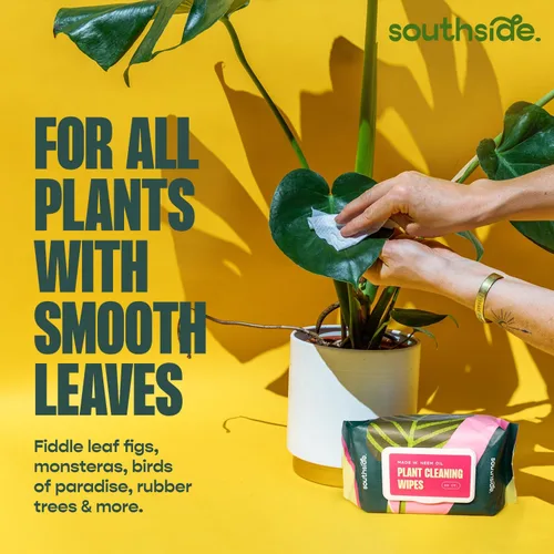 Miniatura 6 de Southside Plants - Toallitas de limpieza de plantas suaves a base de plantas para hojas brillantes y mejor fotosíntesis, sin perfume, extra grueso