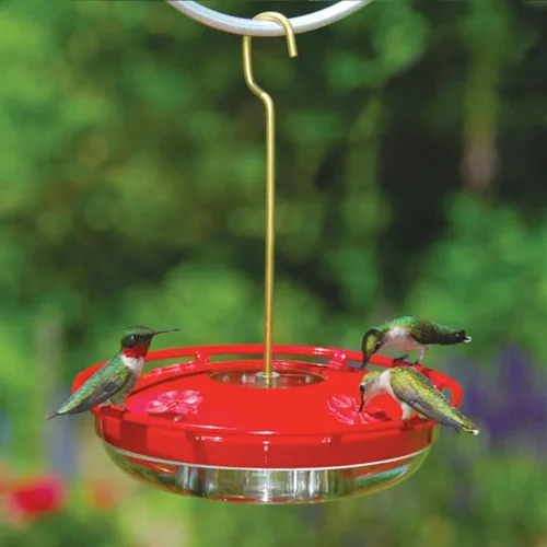 Miniatura 4 de Aspectos - Comedero colgante alto HummZinger para colibríes (12 oz), 12 onza