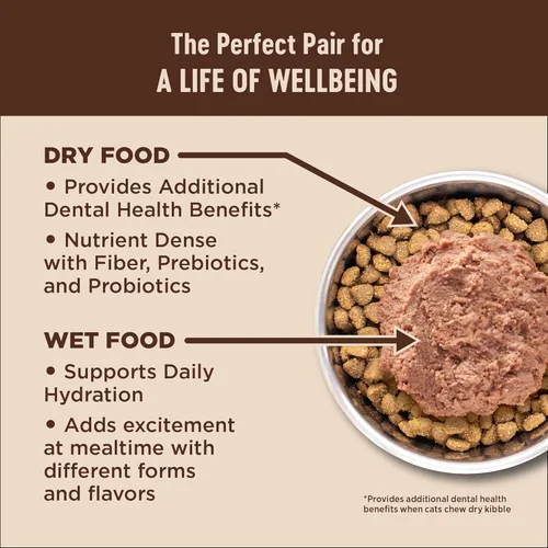Miniatura 6 de Wellness CORE+ Digestive Health Pate Alimento húmedo enlatado en paté para adultos, natural, rico en proteínas, sin granos, receta de pescado